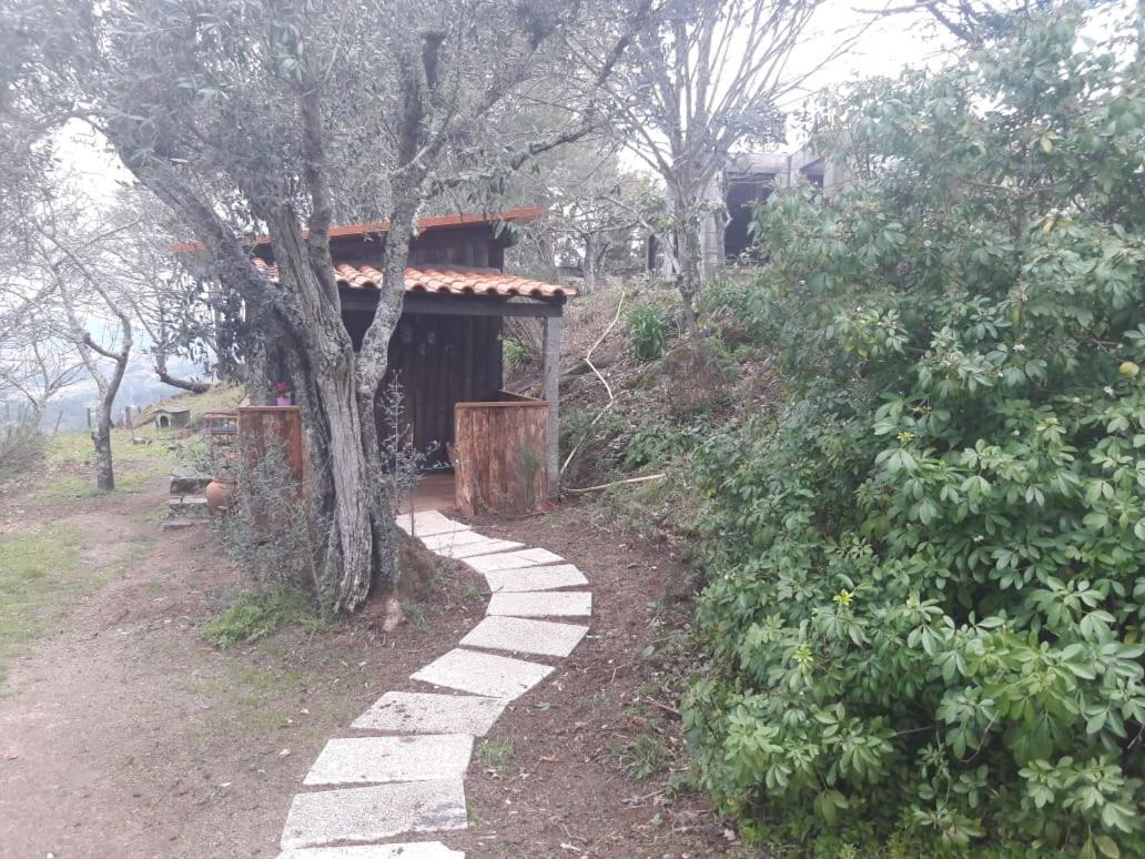 Cabana Da Oliveira Marco de Canaveses Exterior photo